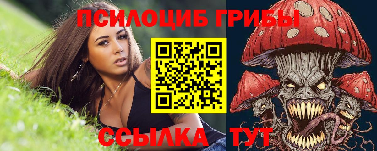 Псилоцибиновые грибы мицелий Севастополь