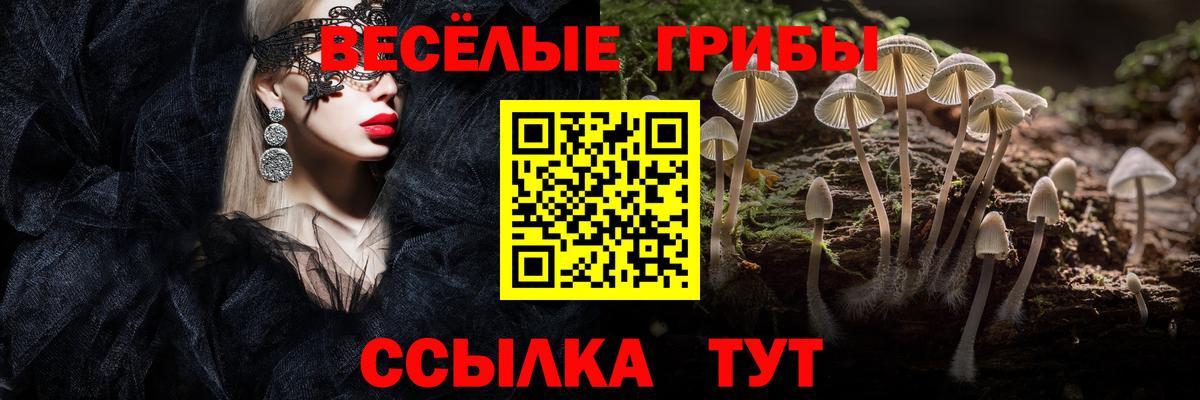 Псилоцибиновые грибы Psilocybe  Галлюциногенные грибы Psilocybine cubensis  даркнет сайт  Севастополь  Вход с VPN 